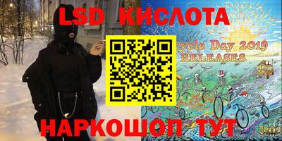 СК Обь