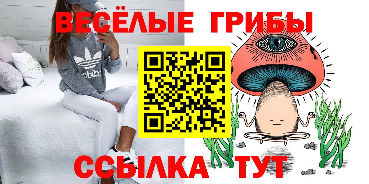 Псилоцибиновые грибы Cubensis  Вход с VPN  Черняховск 