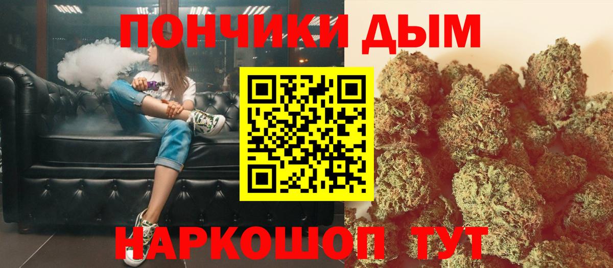 Каннабис план Черняховск